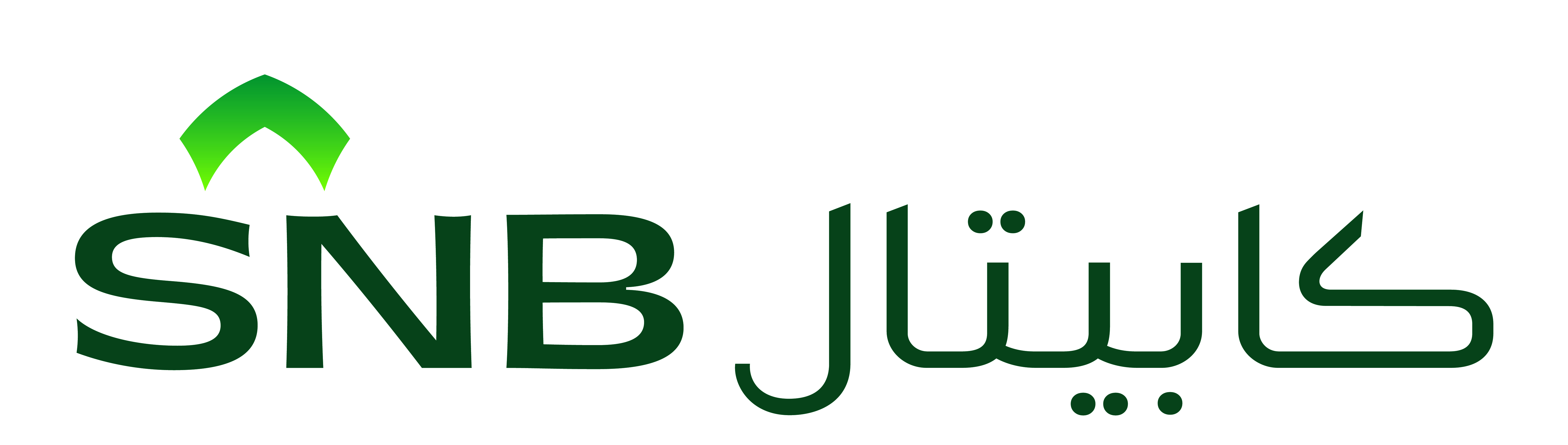 الأهلي المالية